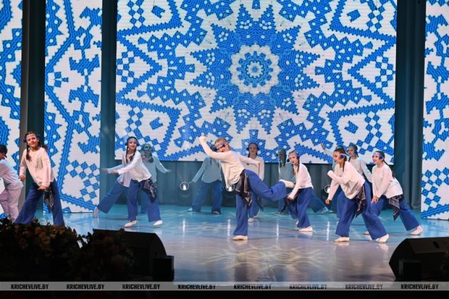 В Кричеве торжественно отметили День единения народов Беларуси и России