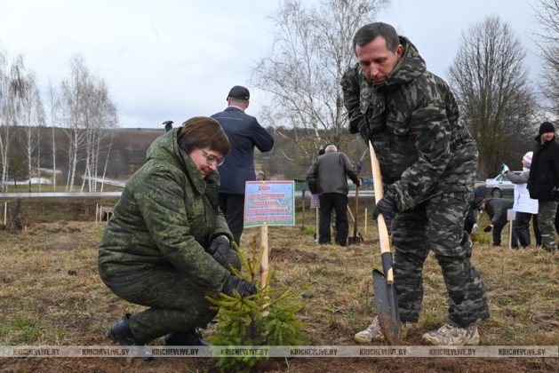 В Кричевском районе заложили дендрарий