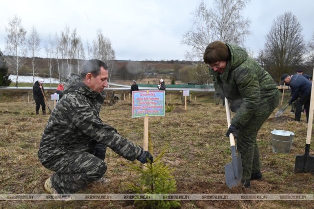 В Кричевском районе заложили дендрарий