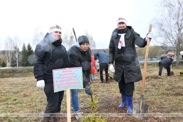 В Кричевском районе заложили дендрарий