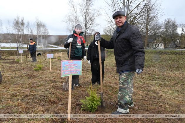 В Кричевском районе заложили дендрарий