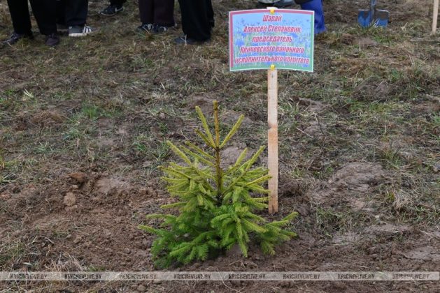 В Кричевском районе заложили дендрарий