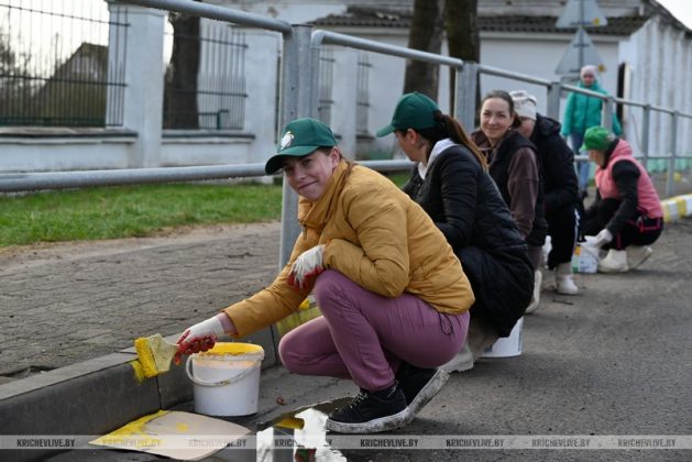 Кричевляне присоединились к республиканскому субботнику