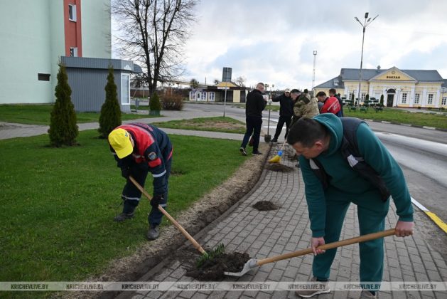 Кричевляне присоединились к республиканскому субботнику
