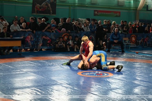 В Кричеве проходит международный турнир по вольной борьбе