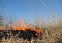 Кричевские спасатели выезжали на Крупскую: рассказываем, что произошло Кричевские спасатели выезжали на Крупскую: рассказываем, что произошло