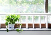 Как отмыть от желтизны пластиковый подоконник: 5 рабочих способов Как отмыть от желтизны пластиковый подоконник: 5 рабочих способов