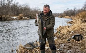 Узнали, за вылов какой рыбы кричевские рыбаки могут получить штраф Узнали, за вылов какой рыбы кричевские рыбаки могут получить штраф