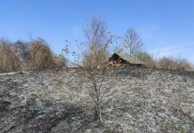 Пал сухой травы в Кричевском районе: статистика пожаров и штрафы Пал сухой травы в Кричевском районе: статистика пожаров и штрафы