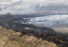 В Кричеве снова горела сухая растительность — спасатели ликвидировали пожар на ул. Крупской В Кричеве снова горела сухая растительность — спасатели ликвидировали пожар на ул. Крупской