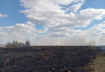 На Кричевщине тушили возгорание На Кричевщине тушили возгорание