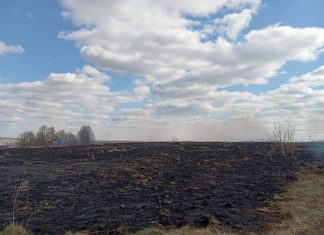 На Кричевщине тушили возгорание На Кричевщине тушили возгорание