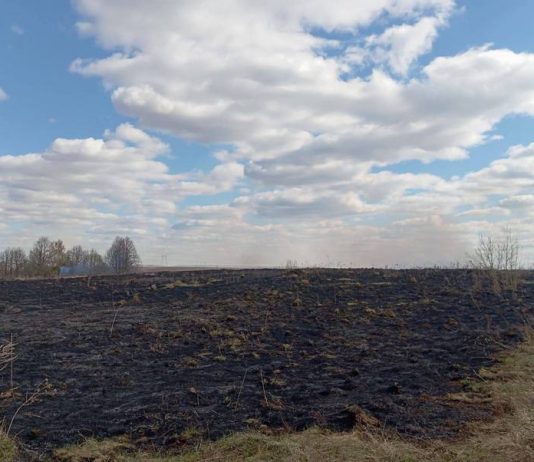 На Кричевщине тушили возгорание На Кричевщине тушили возгорание
