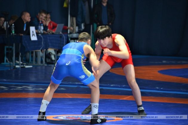 В Кричеве завершился XI турнир памяти братьев Ивановых