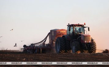 Гречиху в Беларуси посеяли на половине запланированных площадей Гречиху в Беларуси посеяли на половине запланированных площадей