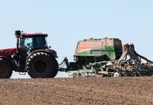 В Беларуси засеяно 95% площадей яровых культур