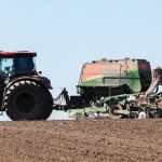 В Беларуси засеяно 97% площадей яровых культур Все новости