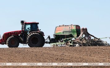 В Беларуси засеяно 95% площадей яровых культур В Беларуси засеяно 95% площадей яровых культур