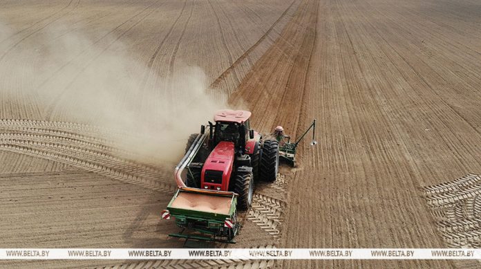 В Беларуси посеяно 67% яровых культур