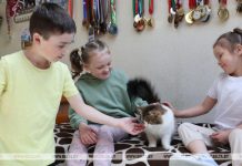 В Минтруда назвали топ-3 региона Беларуси по многодетности В Минтруда назвали топ-3 региона Беларуси по многодетности