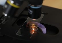 Первая в мире вакцина от болезни Лайма может появиться в 2027 году