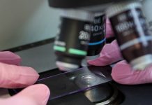Микробные биотехнологии станут одним из направлений белорусско-китайского научного сотрудничества