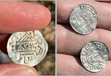 Крупнейший клад эпохи викингов из трех тысяч серебряных монет XI века обнаружили в Норвегии