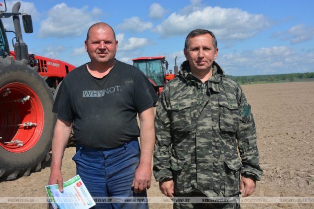 Праздник на колесах: как в Кричевском районе чествовали героев весенней страды