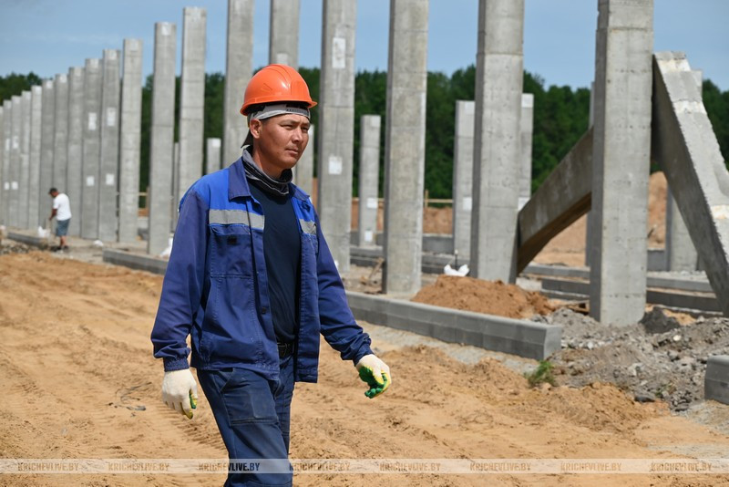 Новый молочно-товарный комплекс на 800 голов строят под Кричевом