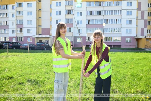 В Кричеве приступили к работе студенческие отряды