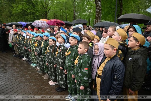 Митинг, посвященный Дню Победы, прошел В Кричеве