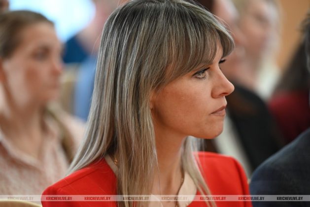 Министр архитектуры и строительства встретился с представителями сферы культуры Кричева