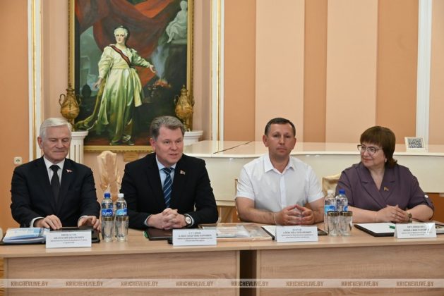 Министр архитектуры и строительства встретился с представителями сферы культуры Кричева