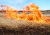 Предупреждение МЧС: Выжигание сухой растительности опасно и наказуемо Предупреждение МЧС: Выжигание сухой растительности опасно и наказуемо