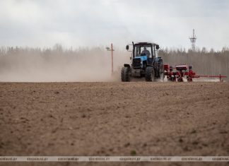 Кричевский район первым в области завершил сев кукурузы Кричевский район первым в области завершил сев кукурузы