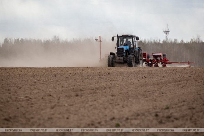 Кричевский район первым в области завершил сев кукурузы