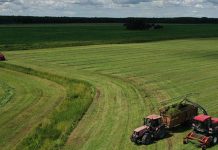 Первый укос трав проведен на 71% запланированных площадей в Беларуси