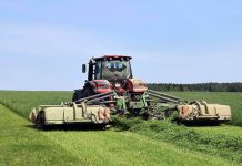 Первый укос трав проведен в Беларуси на 85% запланированных площадей