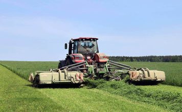 Первый укос трав проведен в Беларуси на 85% запланированных площадей Кричев | Новости Кричева и Кричевского района
