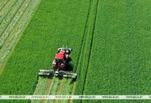 Первый укос трав в Беларуси близится к завершению: скошен 91% площадей