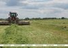 Первый укос трав проведен на 93% запланированных площадей в Беларуси