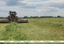 Первый укос трав проведен на 93% запланированных площадей в Беларуси