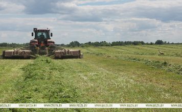 Первый укос трав проведен на 93% запланированных площадей в Беларуси Кричев | Новости Кричева и Кричевского района
