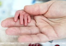 Правительством утвержден порядок предоставления бесплатных попыток ЭКО
