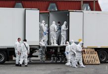 Россия и Украина провели обмен телами погибших военных в «Новой Гуте»