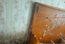 Кричевские спасатели вытащили из огня жильца в микрорайоне Сож