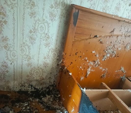 Кричевские спасатели вытащили из огня жильца в микрорайоне Сож Кричев | Новости Кричева и Кричевского района