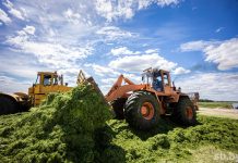 В Беларуси первый укос трав провели на 65 % запланированных площадей — заготовлено более 4,4 млн тонн сенажа