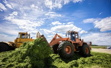 В Беларуси первый укос трав провели на 65 % запланированных площадей — заготовлено более 4,4 млн тонн сенажа Кричев | Новости Кричева и Кричевского района