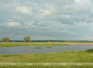 Прогноз погоды по Кричеву на ближайшие дни Кричев | Новости Кричева и Кричевского района